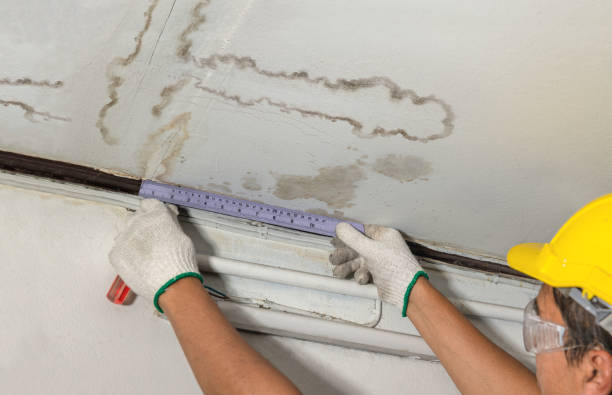 Reliable Mold Remediation contractor in Woodworth, ND by Water Damage Irwin